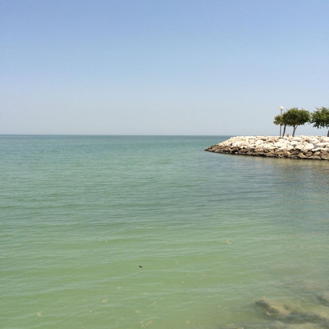 الخبر:رحلة بحرية في قارب